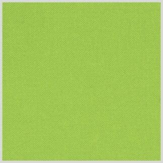 Devonstone Solids - Unripe #032