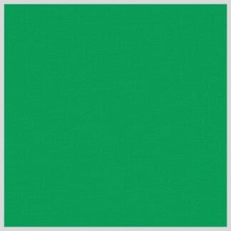 Devonstone Solids - Aloe Vera #031