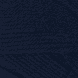 Peppin 8 - Australian Fine Merino - 820 - Very Dark Navy
