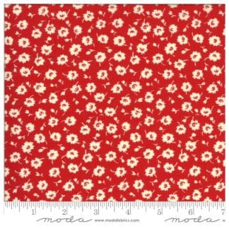 It’s Elementary - 21787 11 - Red