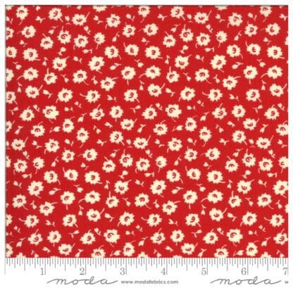 It’s Elementary - 21787 11 - Red