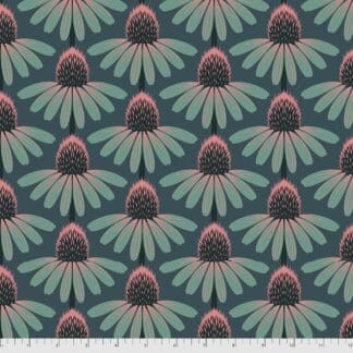 Love Always - Echinacea - Dim