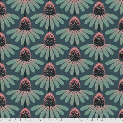 Love Always - Echinacea - Dim