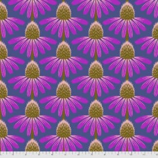 Love Always - Echinacea - Haute