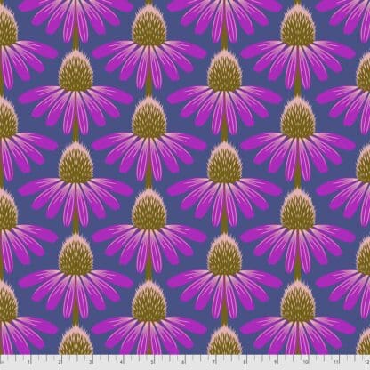 Love Always - Echinacea - Haute