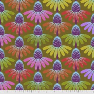 Love Always - Echinacea Glow - Autumn