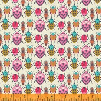 Eden - Bug Race - Cream