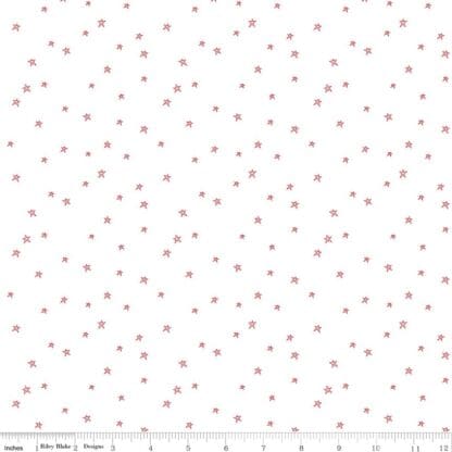 Bee Plaids - Farmhouse Star - Cayenne