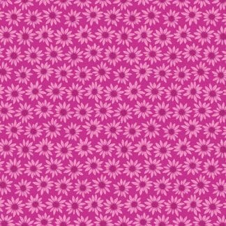 Arcadia - Rudbeckia - Fuchsia