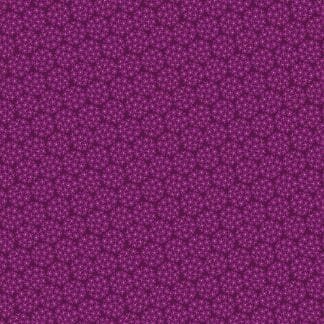 Arcadia - Inflorescence - Purple