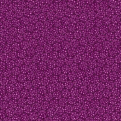 Arcadia - Inflorescence - Purple