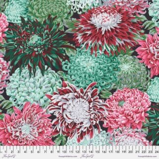 February 2022 - Japanese Chrysanthemum - Blush