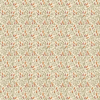 Sweet Nothings - Reed - Coral
