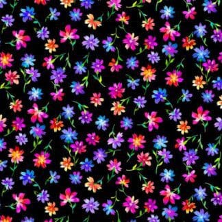 Luminous Blooms - Luminous Blossoms - Black
