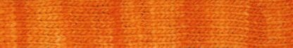 Noro Yarn - Malvinas - Harvest