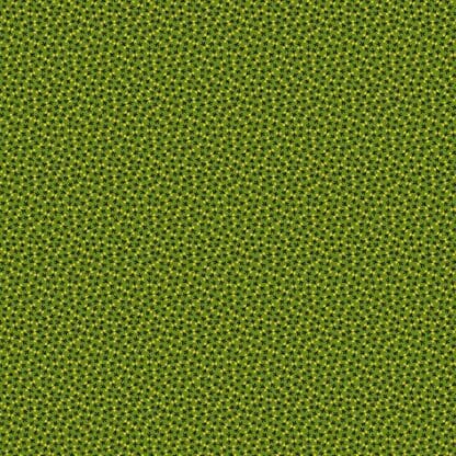 Baltimore Album - Dot Tracks - Green