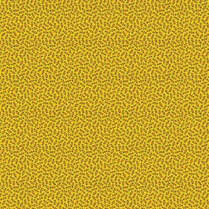 Baltimore Album - Dot Tracks - Yellow