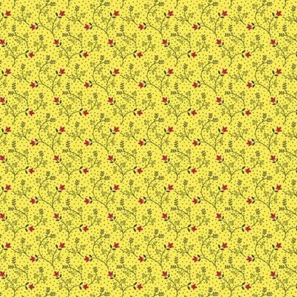 Baltimore Album - Tulip Vine - Yellow