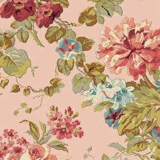 Primrose - Rose Garden - Blush