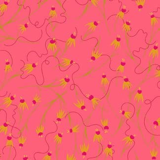 Wildflowers - Coneflower - Coral