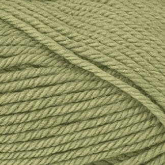 Peppin 4 - Australian Fine Merino - 429 - Leaf