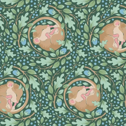 Hibernation - Slumbermouse - Lafayette