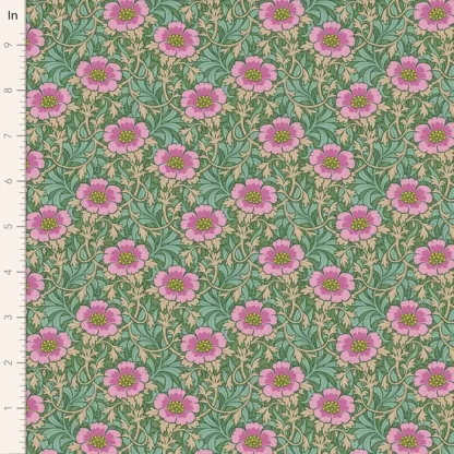Hibernation - Winterrose - Sage