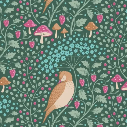 Hibernation - Sleepybird - Lafayette