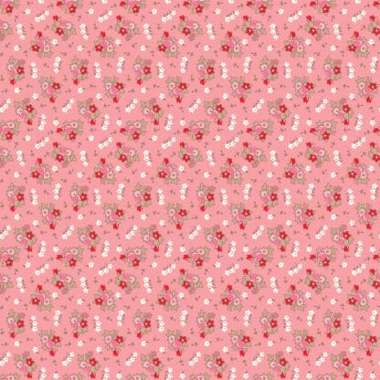 Home Town - Bills - Heirloom Coral