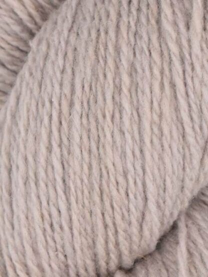 Patagonia Sand Dollar 148