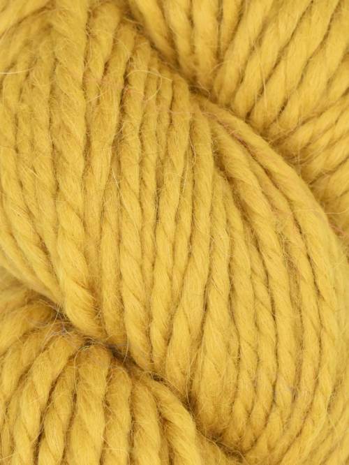 Llama Hasa - Goldenrod #1005