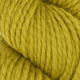 Llama Hasa - Fern #1006