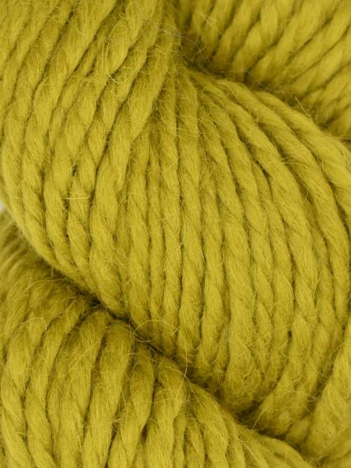 Llama Hasa - Fern #1006