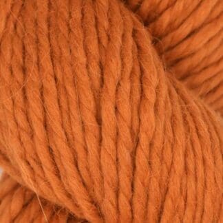 Llama Hasa - Pumpkin #1007