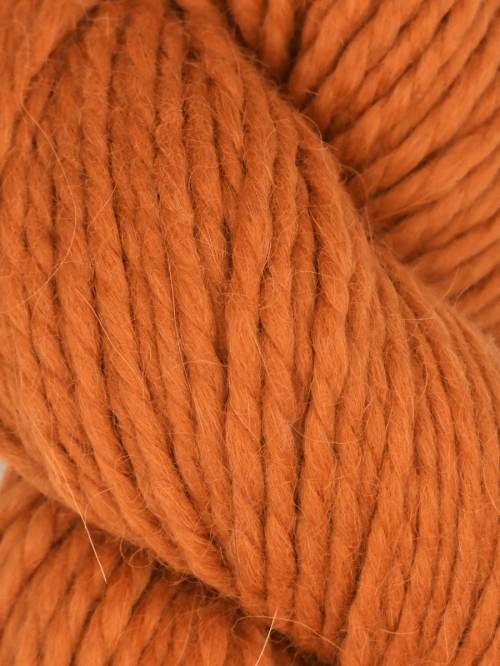 Llama Hasa - Pumpkin #1007