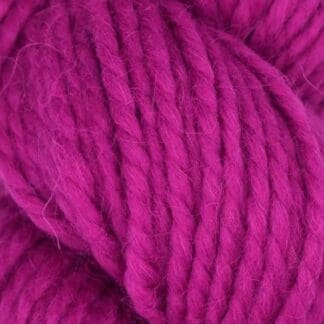 Llama Hasa - Orchid #1010