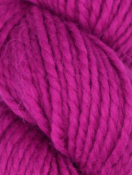 Llama Hasa - Orchid #1010