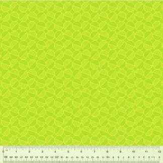Foundation 2 - Equilibrium - Lime