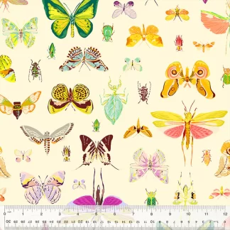 Insectarium - On Display - Light