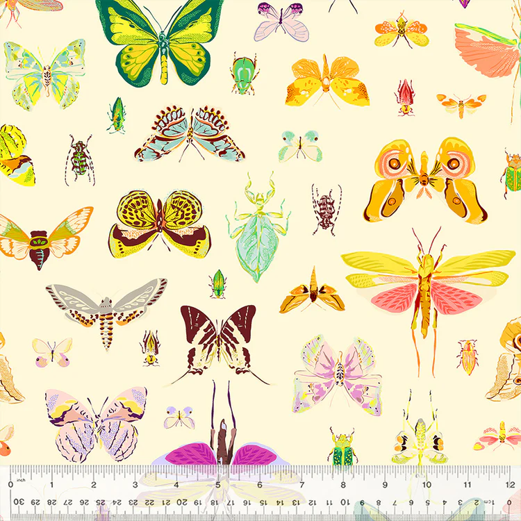 Insectarium - On Display - Light