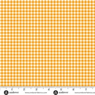 Ghostly Garden - Bitty Gingham - Orange