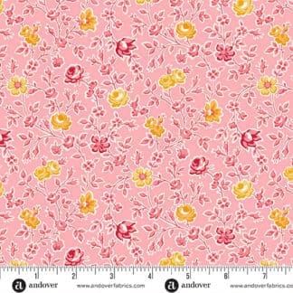 Sweet Things - Climbing Rose - Pink