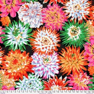 Cactus - Dahlia - Contrast