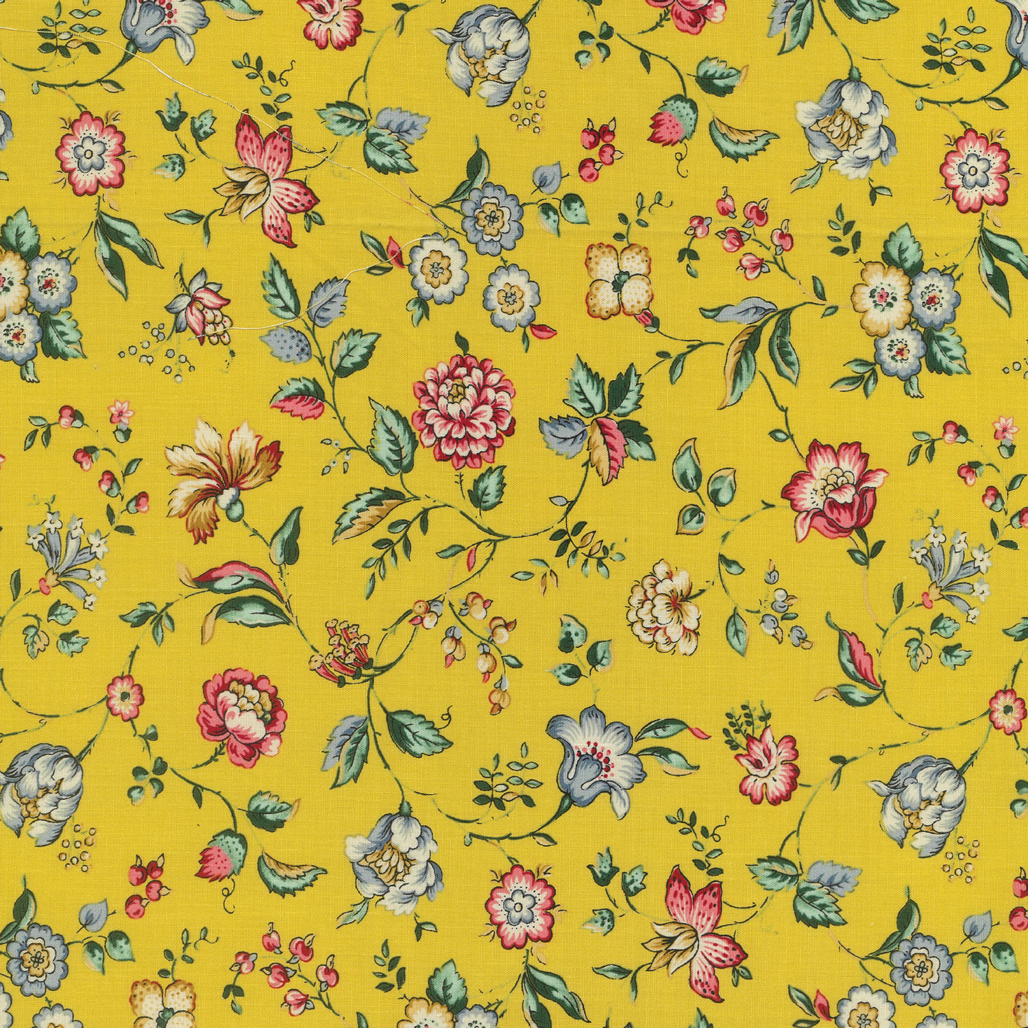 Petra Prins Collection - Spring Garden - Teal