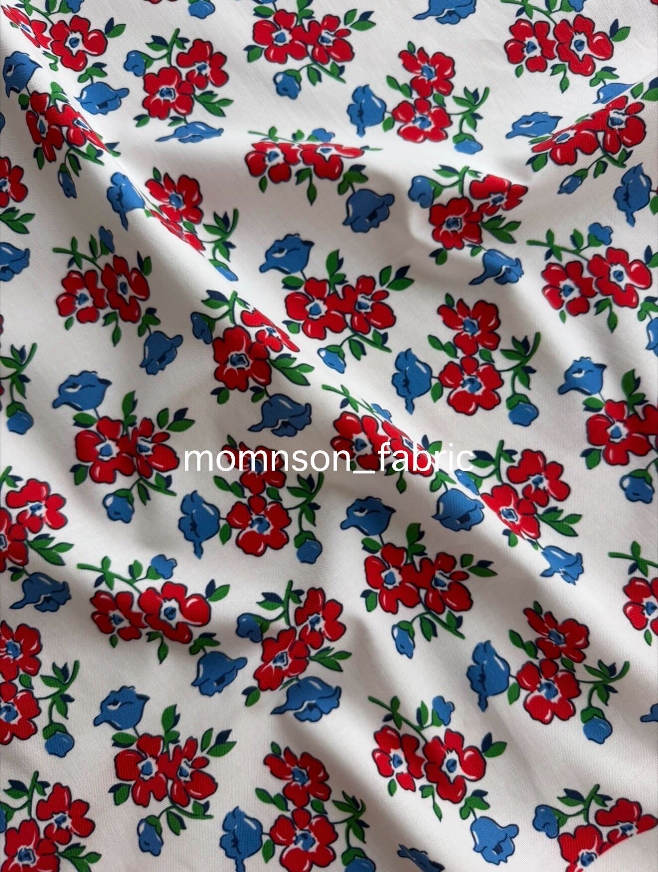 Momnson - August 2026 - Floral - Red & Blue